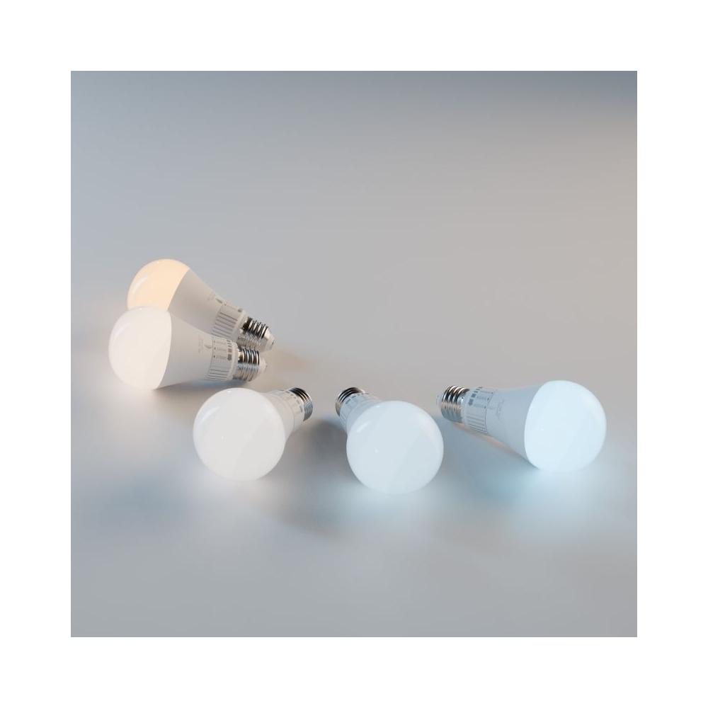 LED-Lampe 5 Lichtfarben GLS E27 230V 13W 5CCT