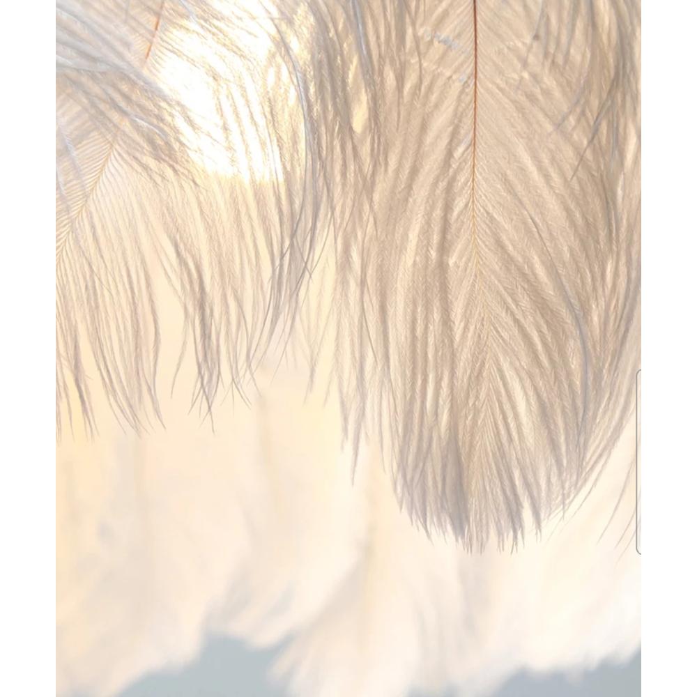 Deckenlampe mit Feder Gold APP662