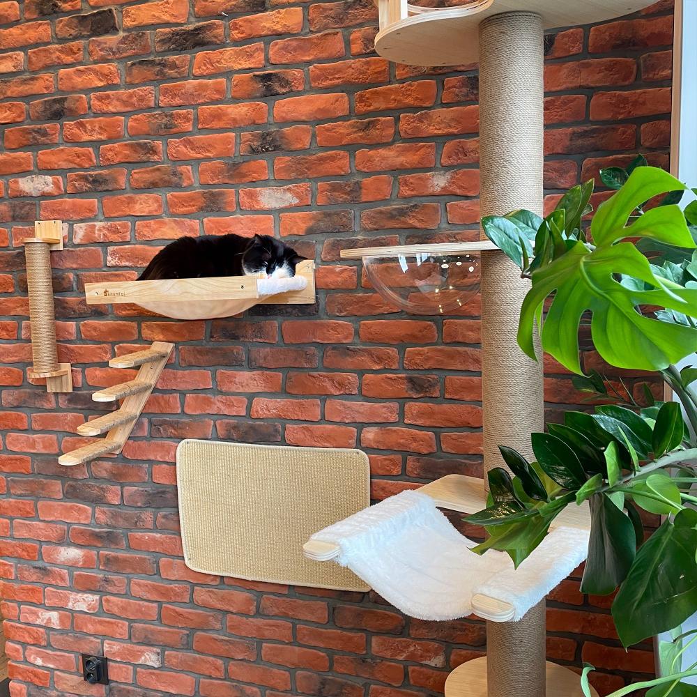 DRAPAK MATA DLA KOTA 60x40cm 332494