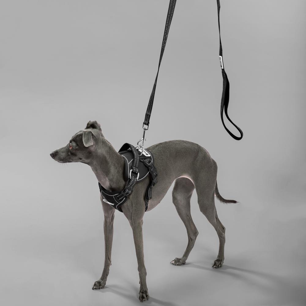 Smycz i szelki dla psa PJ-051 czarna S