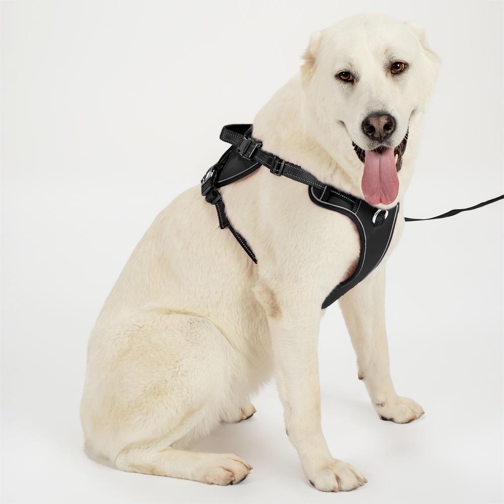 Smycz i szelki dla psa PJ-063 black XL