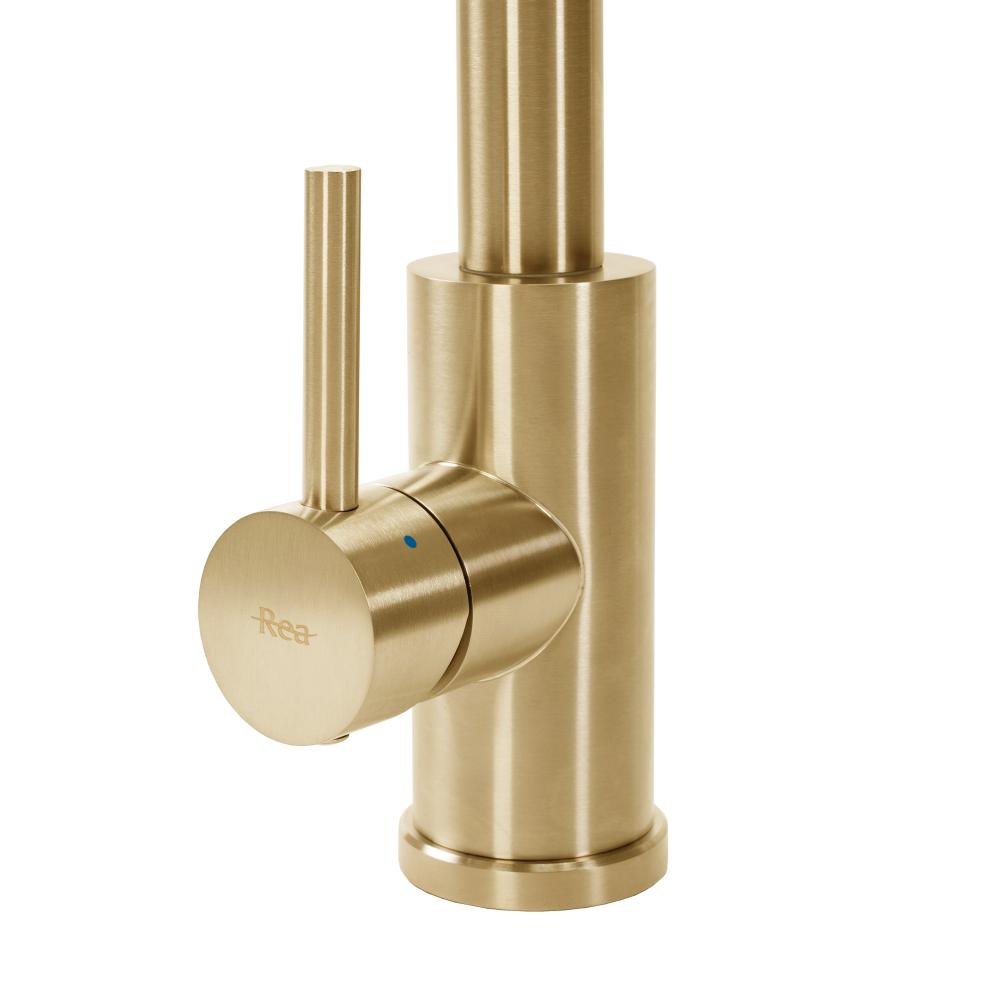 Kuhinjski mešalnik REA Troy Brush gold