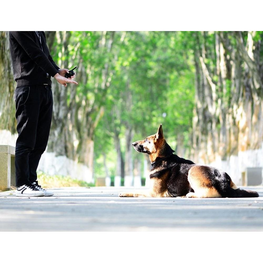 ELEKTRYCZNA OBROŻA TRENINGOWA DLA PSA pj-098