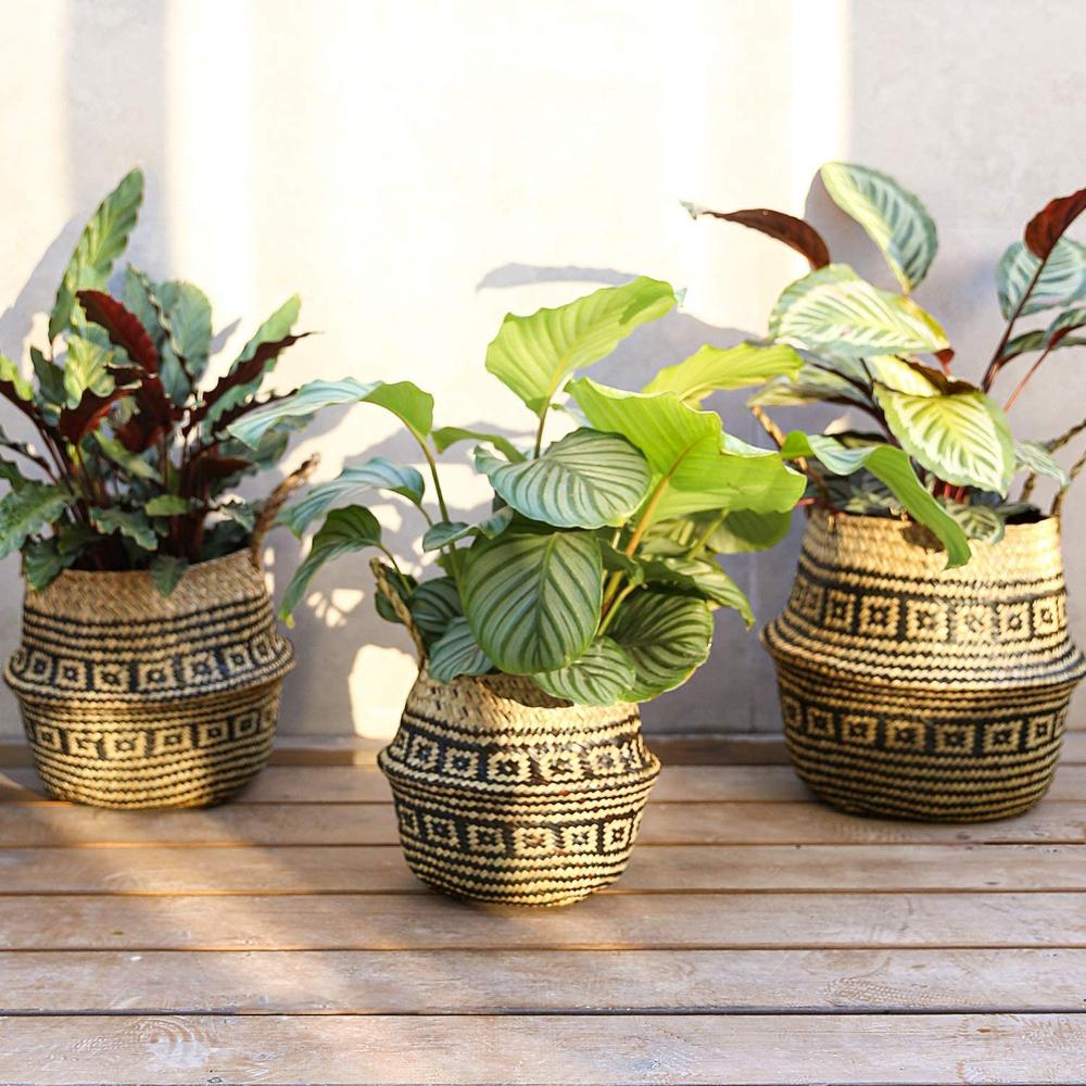 Kosz Naturalny BOHO 322177