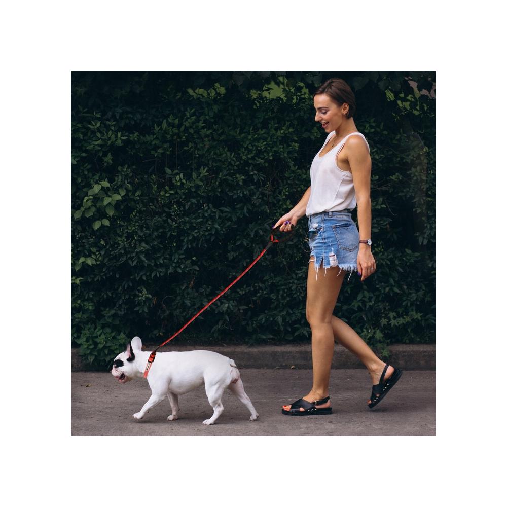 Smycz i obroża dla psa odblaskowa  PJ-035 czerwona