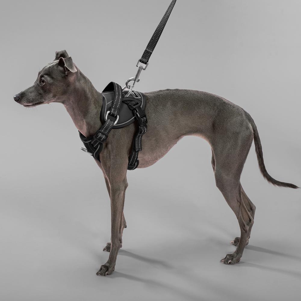 Smycz i szelki dla psa PJ-051 czarna S