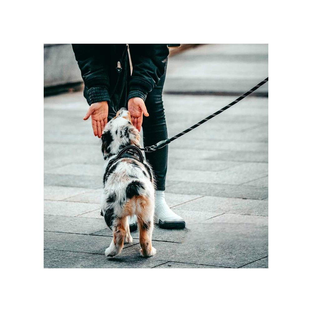 Smycz i obroża dla psa odblaskowa  PJ-035 czerwona