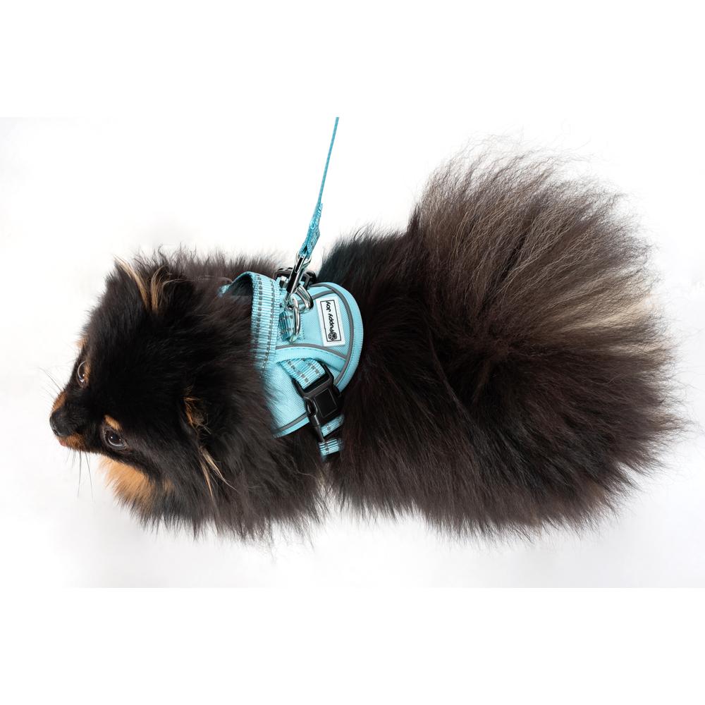 Smycz i szelki dla psa PJ-050 niebieska XS