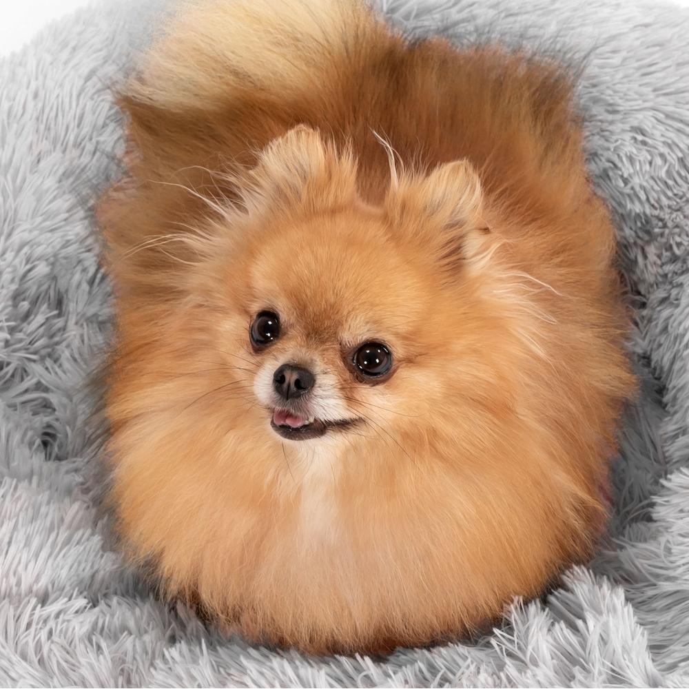 LEGOWISKO DLA PSA KOTA PJ-014 JASNO SZARE L