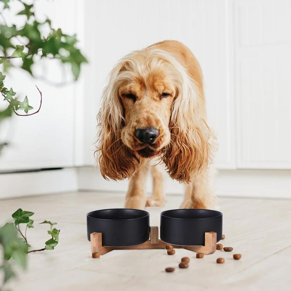MISKA NA KARMĘ I WODĘ DLA ZWIERZĄT CZARNA 331579