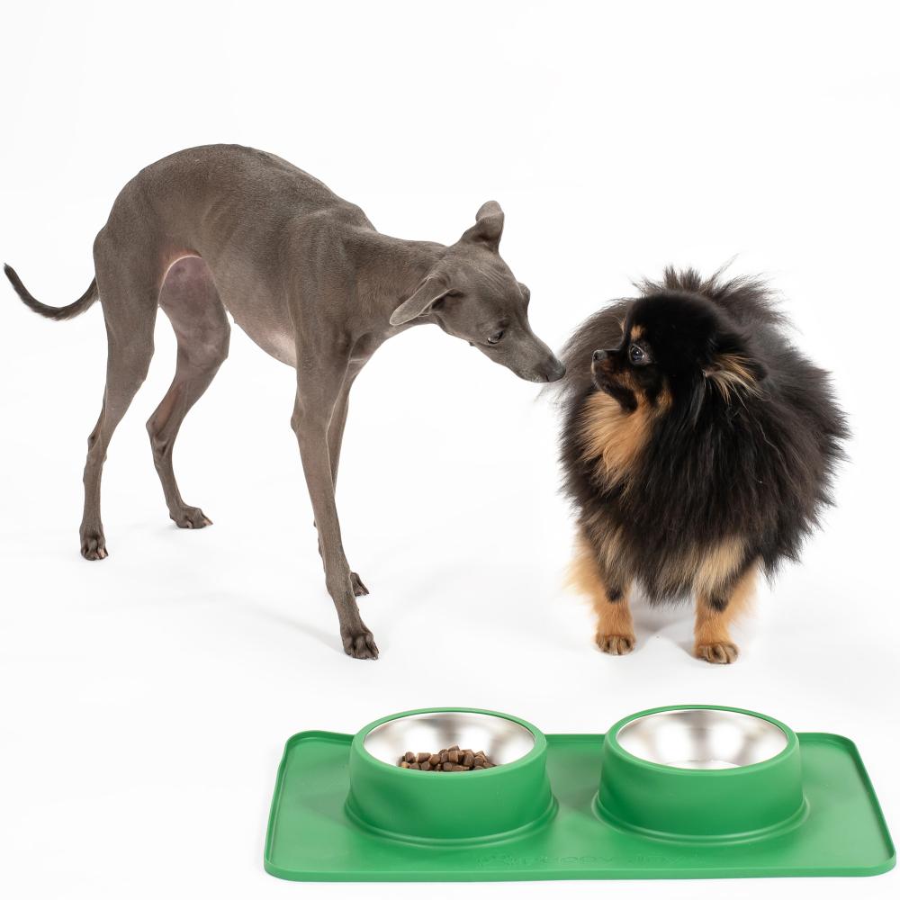 Metalowe Miski Dla Psa lub Kota z Antypoślizgową Matą Zielona PJ-087