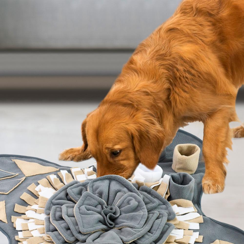 MATA WĘCHOWA DLA PSA PJ-028