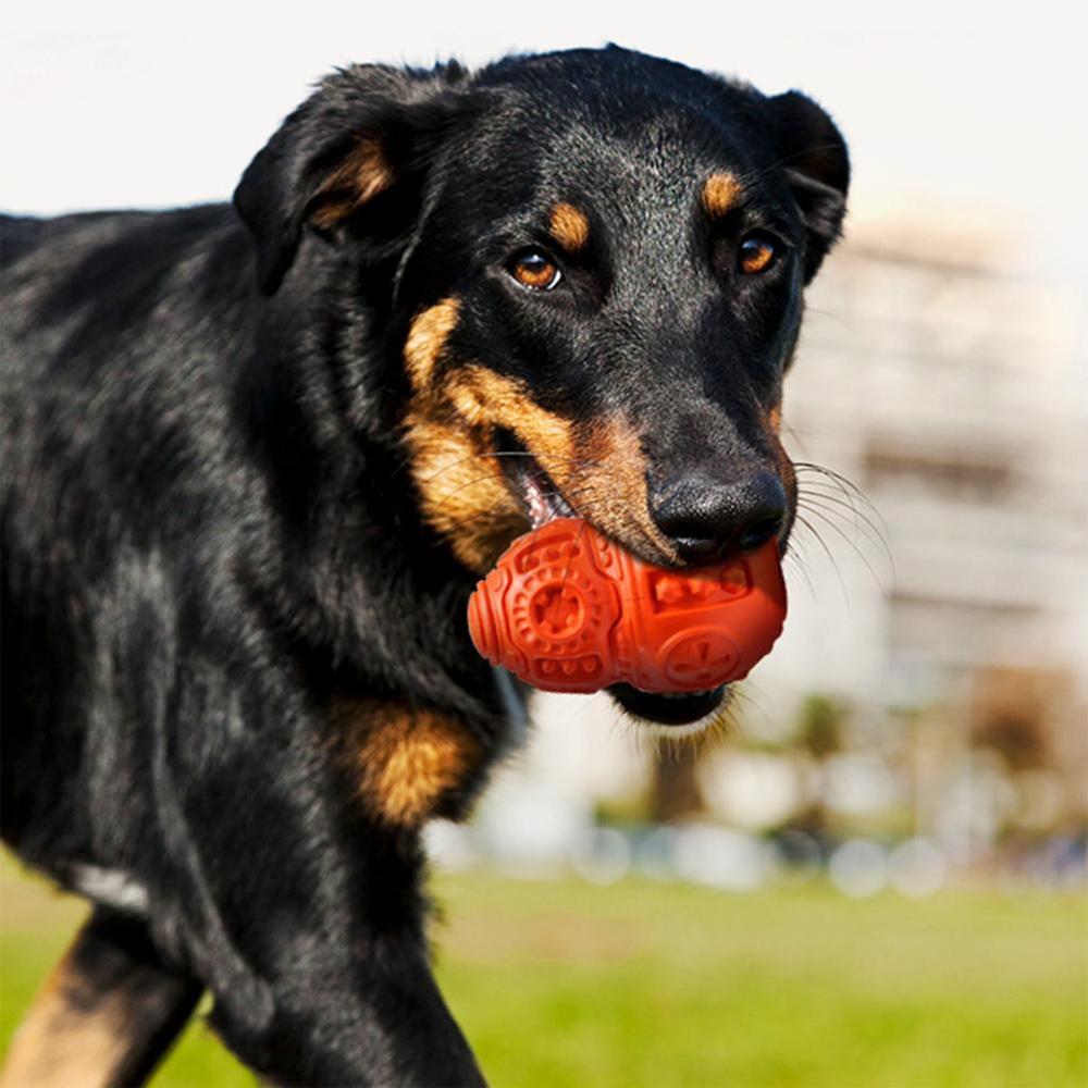 Piłka gryzak dla psa Czerowna PJ-046