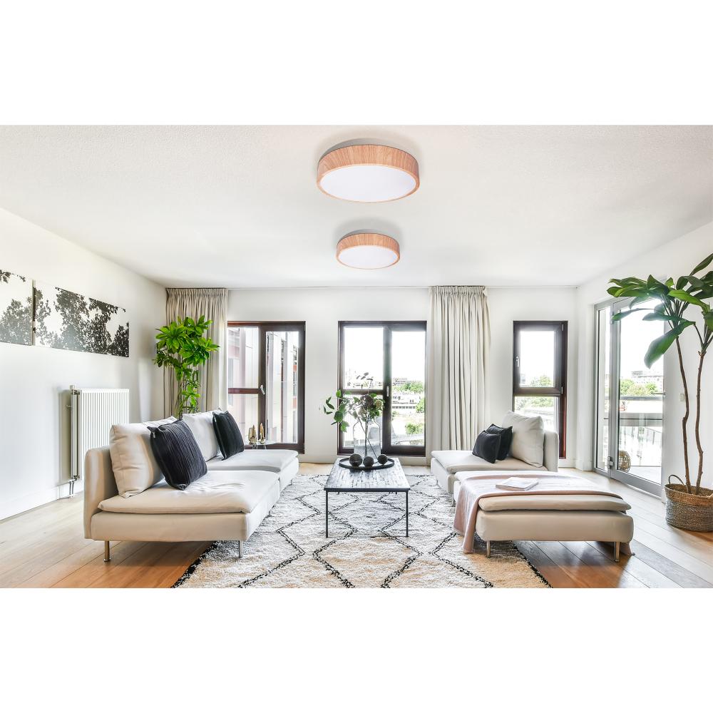 DeckenleuchteAPP1404-C 30cm