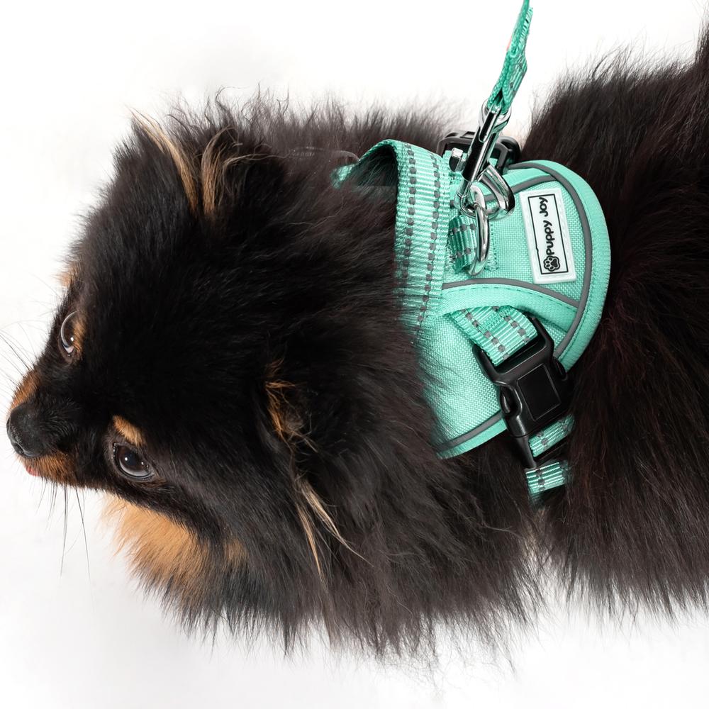 Smycz i szelki dla psa PJ-049 zielona XS