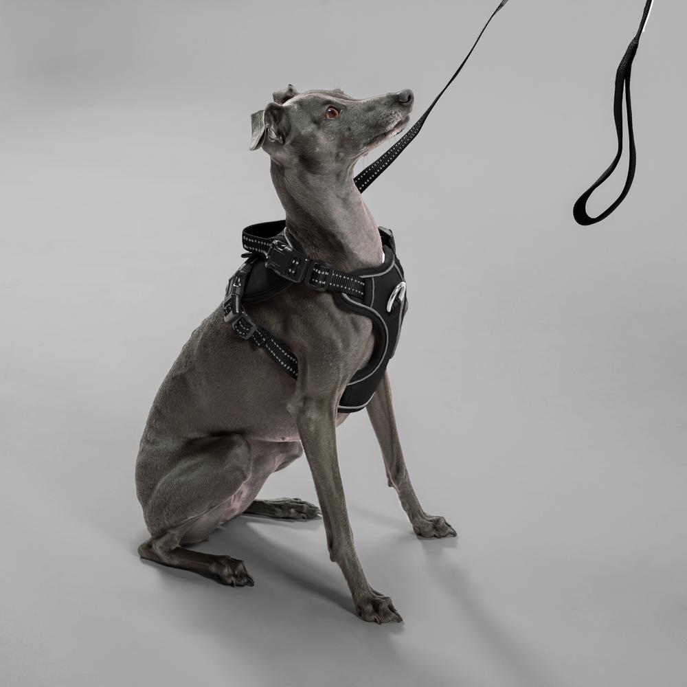 Smycz i szelki dla psa PJ-055 czarna M