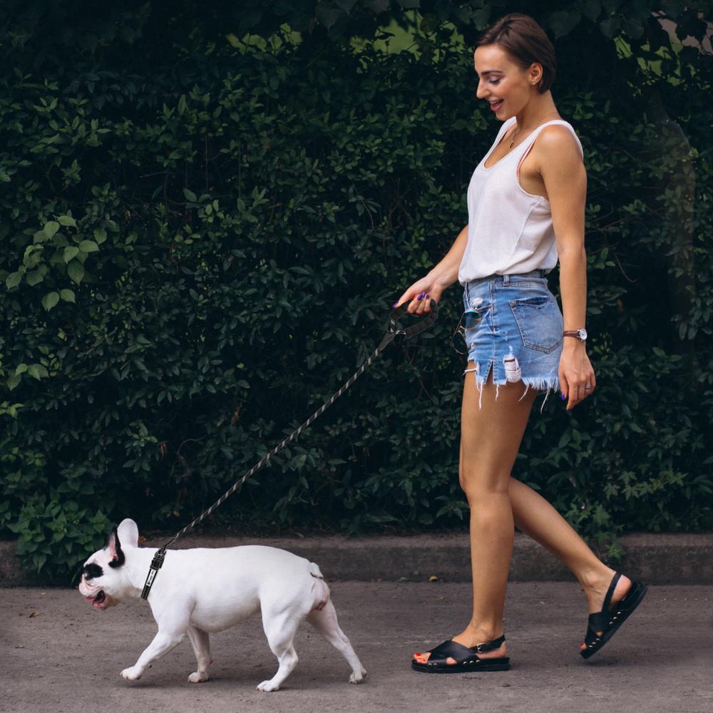 Smycz i obroża dla psa odblaskowa PJ-091 czarna