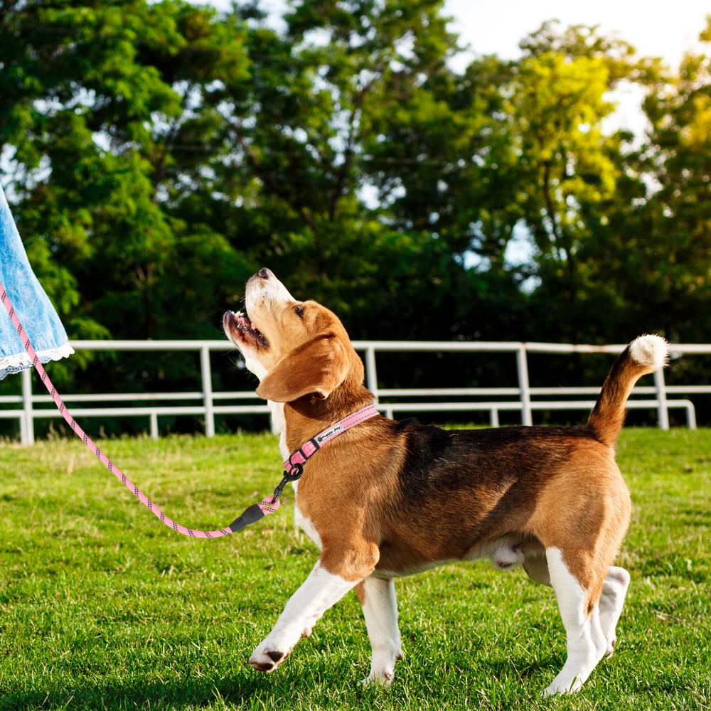 Smycz i obroża dla psa odblaskowa PJ-036 Różowa