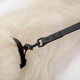 Smycz i obroża dla psa PJ-075 czarna L