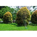 Zraszacz ogrodowy wahadłowy 281357