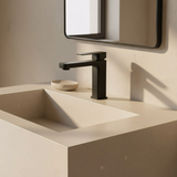 Maišytuvas vonios kambario Rea Arlo Black