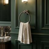 Bathroom hanger Ring 6610 Modern Titan