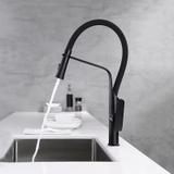 Robinet de cuisine Rea Castor Black Mat