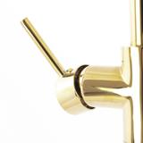 Rea Lungo Ortis vannisegisti kuldne