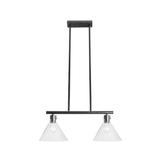 Hängelampe Glas Metall APP317-2CP