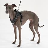 Smycz i szelki dla psa PJ-055 czarna M