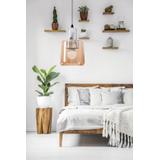 Deckenlampe APP1011-1CP