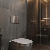 Concealed WC Frame Set Slim 024N with Titan T Brush Steel