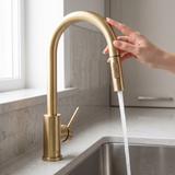 Kuhinjska slavina Rea Fresh Touch Brush Gold