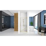 Shower door REA Rapid Swing Brush Gold 90