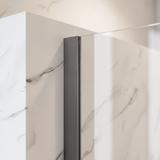 Tuš zaslon Rea Flexi Transparent / Titan 100