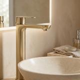 Waschbeckenarmatur Rea Logan Brush Nickel