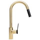 Kuhinjski mešalnik Rea SOUL Črna/zlata brušena