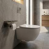 Držač toaletnog papira s policom 6613 Modern Titan