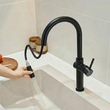 Kuhinjska slavina Rea Fresh High Black