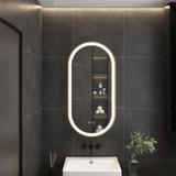 Mirror LED OVL 50x100cm Brush Gold