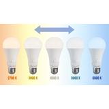 LED-Lampe 5 Lichtfarben GLS E27 230V 13W 5CCT