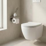 Držač toaletnog papira s policom 6613 Modern Nickel Brush