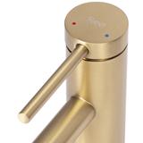 Kriauklės maišytuvas Rea Foss GOLD BRUSH Low