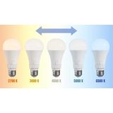 LED-Lampe 5 Lichtfarben GLS E27 230V 10W 5CCT