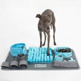 MATA WĘCHOWA DLA PSA PJ-029