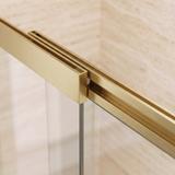 Badekarsskærm skydedør Rea Dario Brush Gold 100