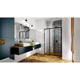 Shower doors Rea Alex Black 90