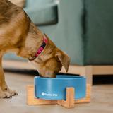 Miska Ceramiczna Dla Psa lub Kota Niebieska PJ-033