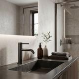 Bathroom faucet Rea Rivo Titan