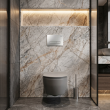 Potinkinis WC Rėmo Komplektas Slim 024N su HD Satin Mygtuku